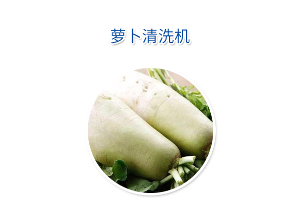 蘿卜清洗機(jī)