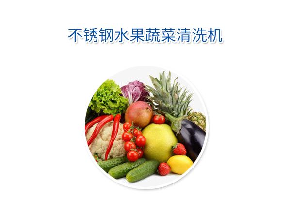 不銹鋼水果蔬菜清洗機