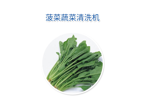 菠菜蔬菜清洗機