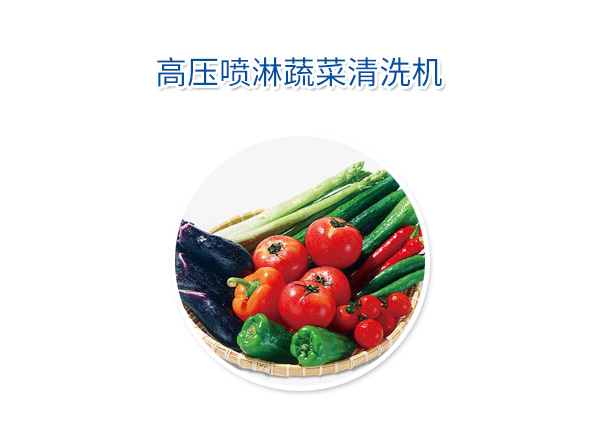 高壓噴淋蔬菜清洗機(jī)