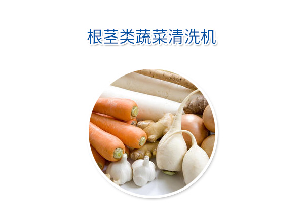 根莖類蔬菜清洗機(jī)
